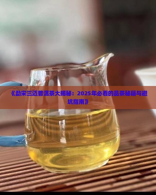 勐宋三迈普洱茶