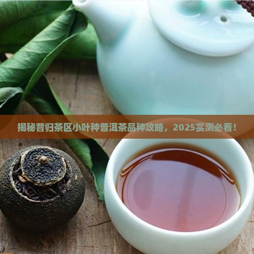 昔归茶区有小叶种吗