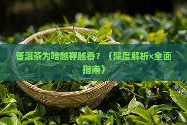 普洱茶的陈香显著浓郁的原因