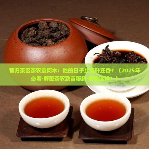 昔归茶区茶农童阿木