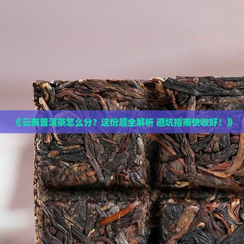 云南普洱茶详细分类表及特点