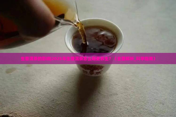 生普洱茶的影响