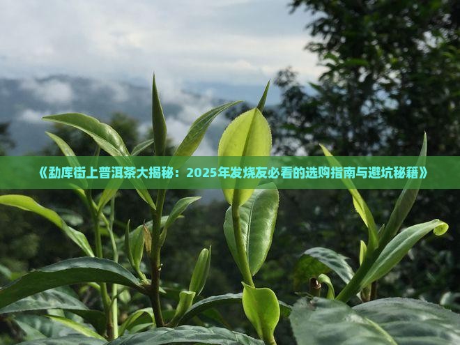 勐库街上普洱茶