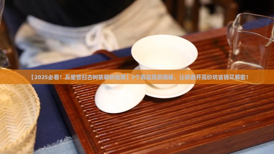 五星昔归古树茶