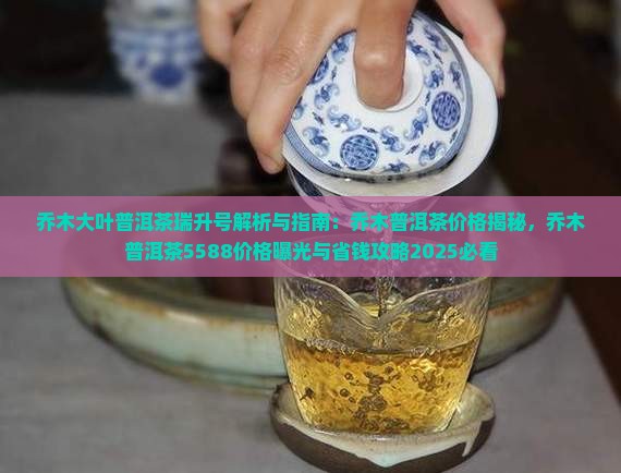 乔木大叶普洱茶瑞升号