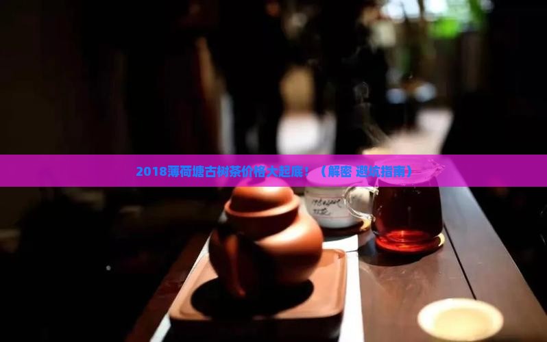 2018薄荷塘古树茶价格