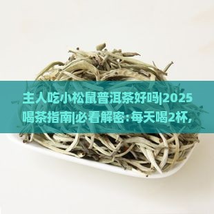 主人吃小松鼠普洱茶好吗