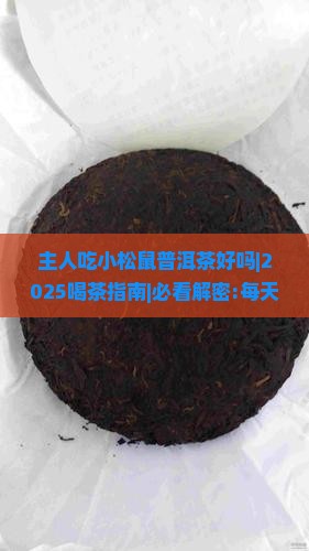 主人吃小松鼠普洱茶好吗