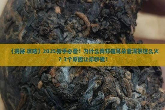 倚邦猫耳朵的普洱茶