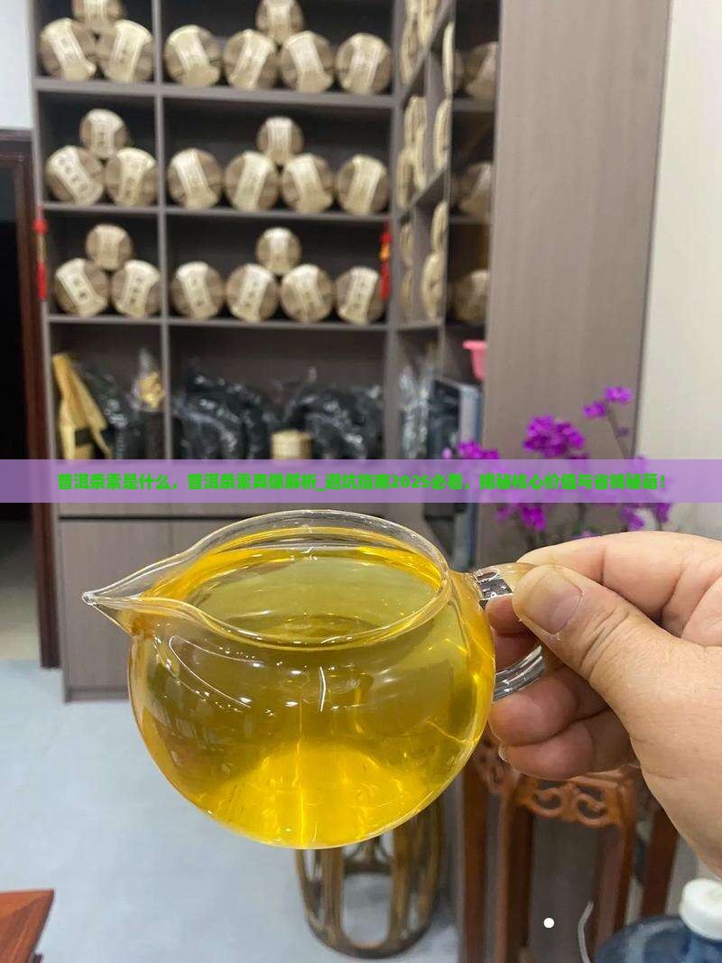 普洱条索是什么