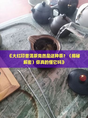 大红印普洱茶是什么茶叶