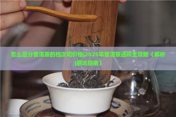 怎么区分普洱茶的档次和价格