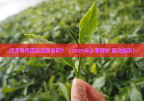 德泽号普洱茶品质怎样