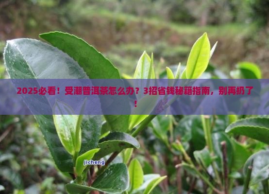 受潮的普洱茶怎么办