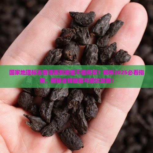 国家地理标志普洱茶