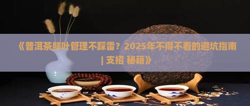 普洱茶鲜叶管理