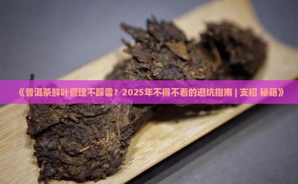 普洱茶鲜叶管理