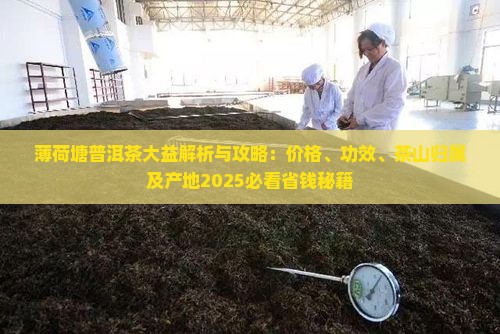 薄荷塘普洱茶大益