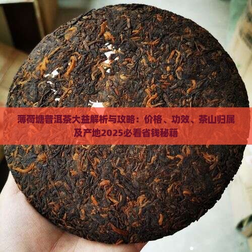 薄荷塘普洱茶大益
