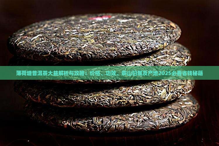薄荷塘普洱茶大益
