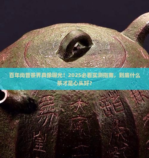 百年尚普什么茶好 百年尚普什么茶好