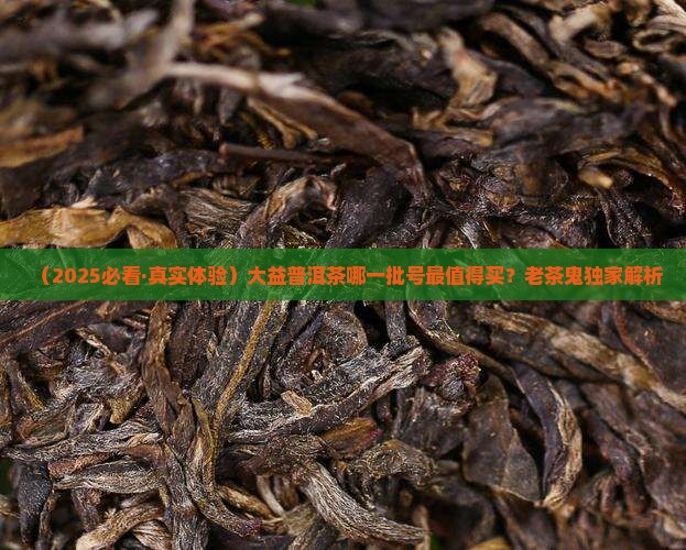 大益普洱茶什么批号好