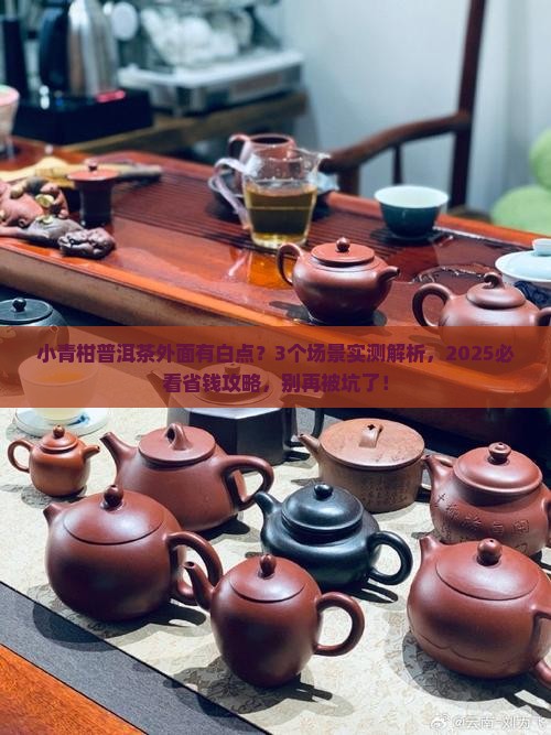 小青柑普洱茶外面有白点