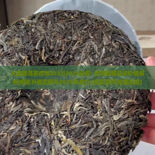 大益普洱茶虎饼2022