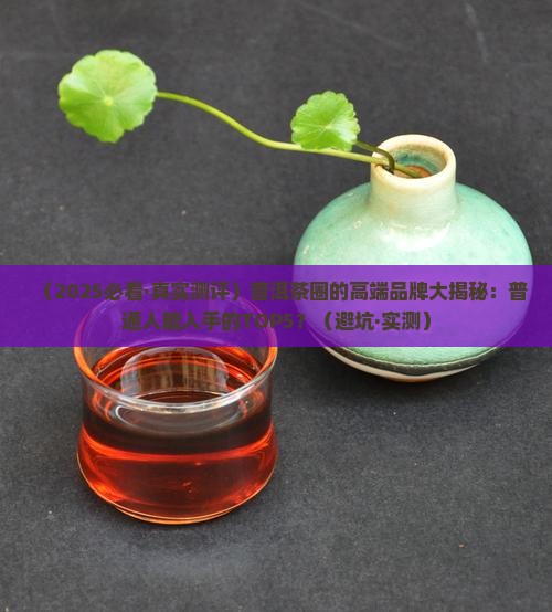 普洱茶现在都有哪些高端品牌
