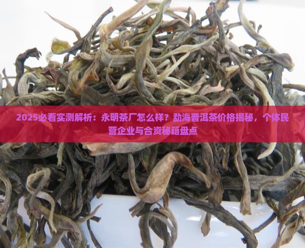 永明茶厂的生普怎么样