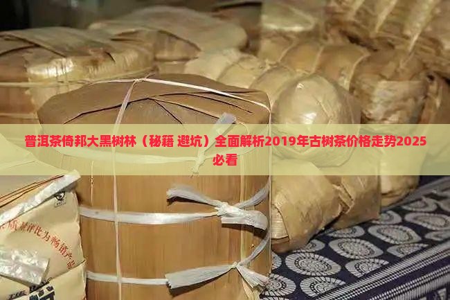 普洱茶倚邦大黑树林