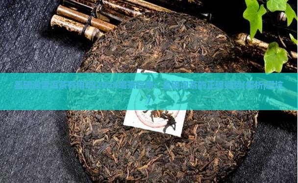 盖碗泡普洱茶有用吗