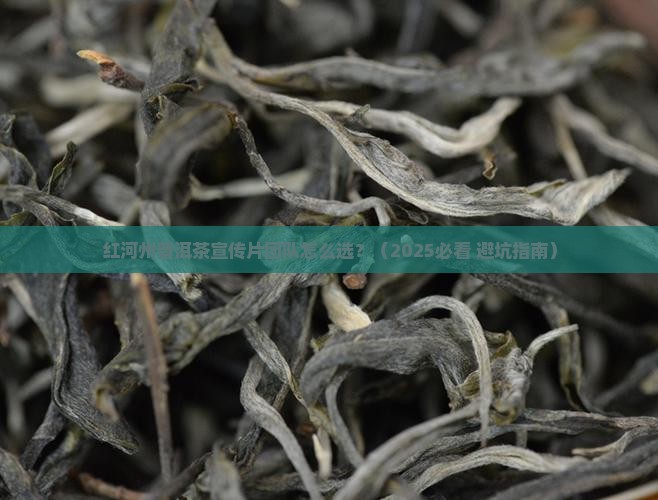 红河州普洱茶宣传片团队