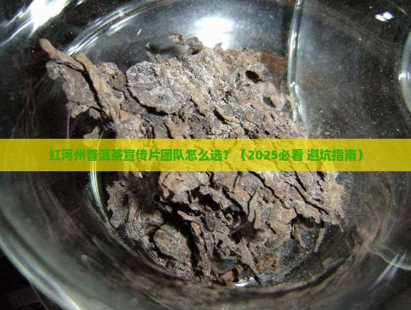 红河州普洱茶宣传片团队