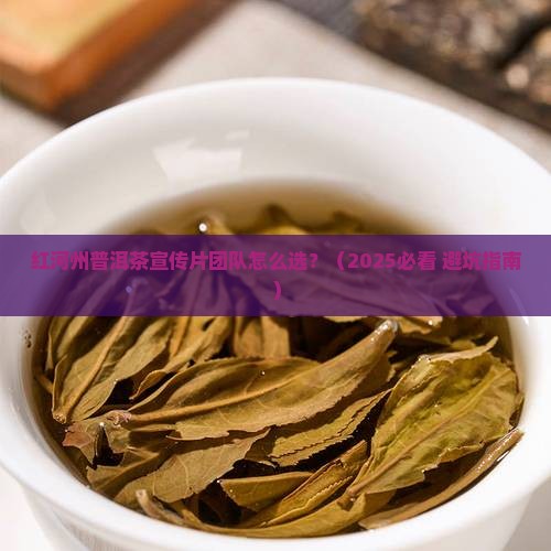 红河州普洱茶宣传片团队