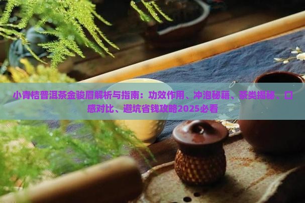 小青桔普洱茶金骏眉 小青桔普洱茶金骏眉