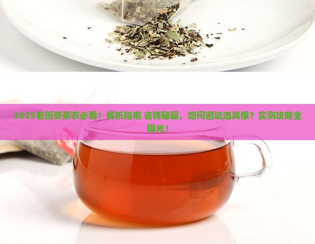 中国老班章茶农