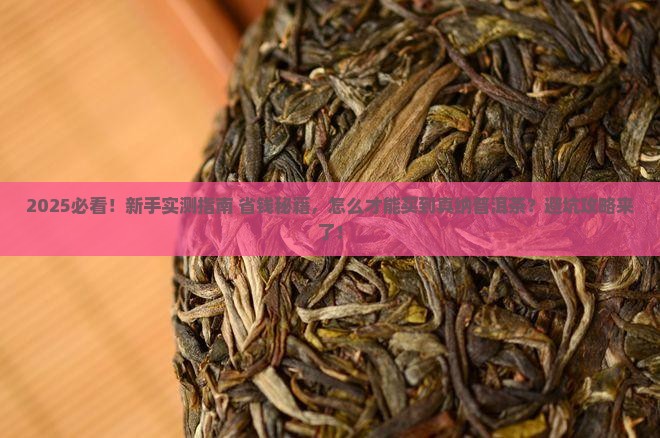 怎么购买纳普洱茶