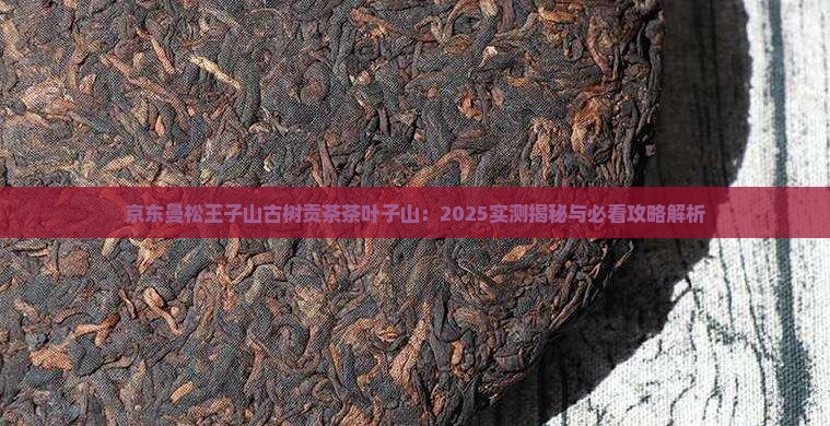 曼松王子山古树贡茶