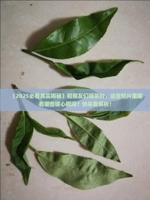 朋友一起喝茶真实照片