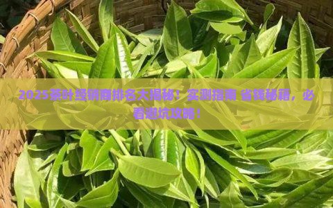 茶叶经销商排名