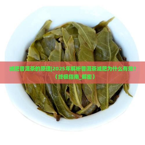 减肥普洱茶的原理