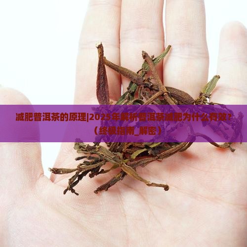 减肥普洱茶的原理
