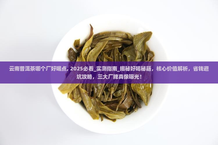 云南普洱茶哪个厂好喝点