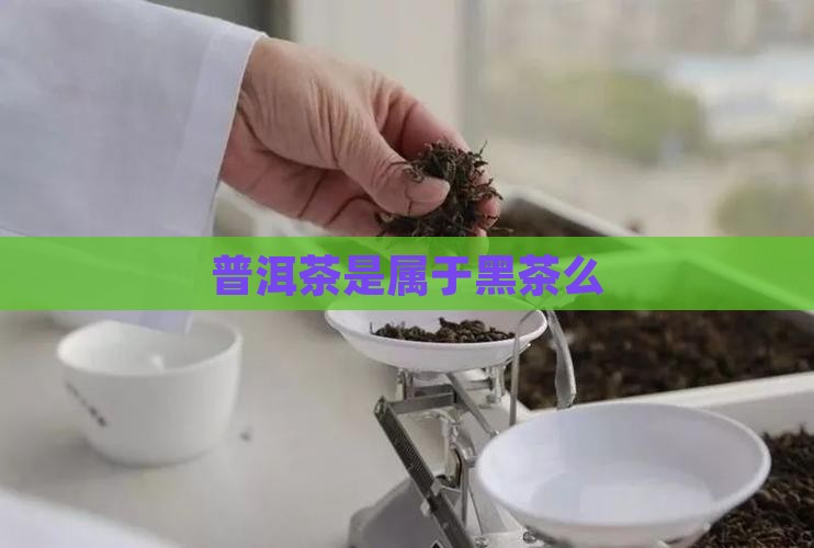 普洱茶是属于黑茶么