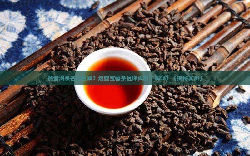 熟普洱茶名山名寨