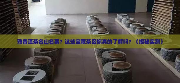 熟普洱茶名山名寨