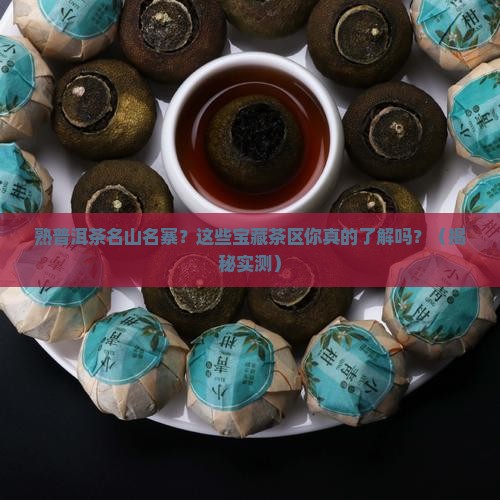 熟普洱茶名山名寨