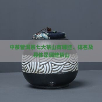 中茶普洱茶七大茶山