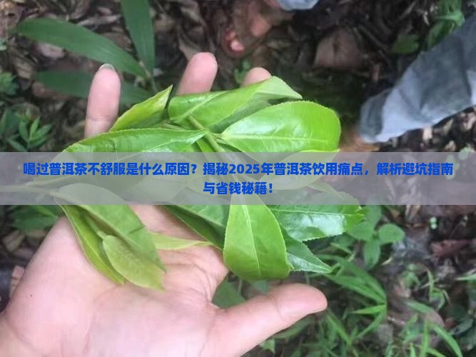 喝过普洱茶不舒服是什么原因